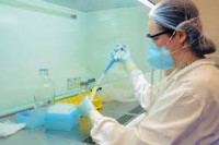 /album/ibop-laboratorio-/images-3-jpg1/